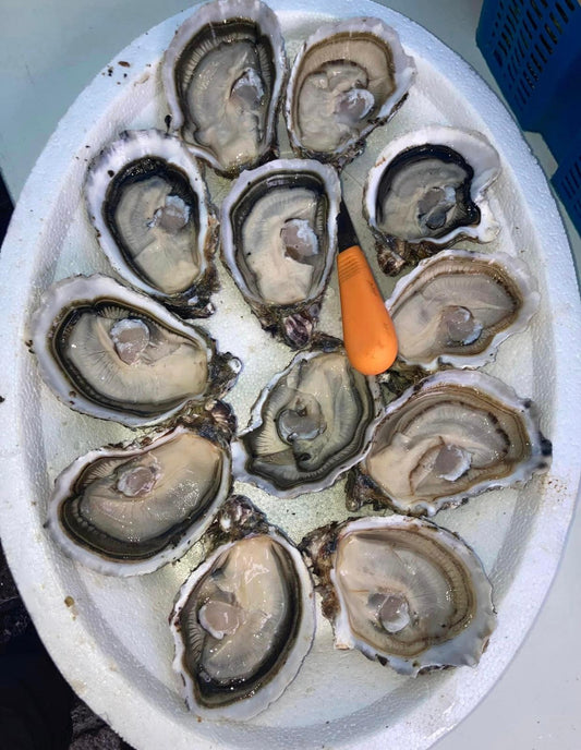 HUITRES DE L'ETANG DE THAU N°2 x40-45 - 5Kg