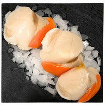 Noix de Saint-Jacques Française fraîches ±2kg