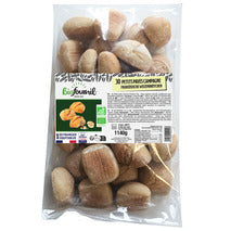 Pain pavé de campagne précuit BIO 30x38g