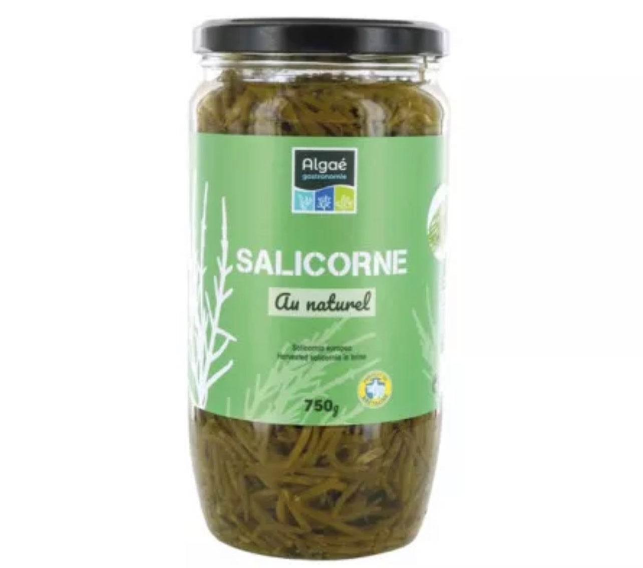 Naturally cultivated French samphire - 750g