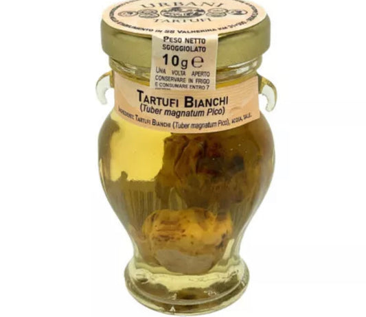 White truffle Tuber Magnatum Pico whole in brine - 10g
