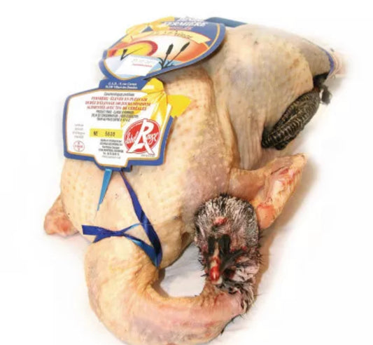 ✨Free-range turkey from Dombes "Le Prince" Label Rouge ±3.5kg✨