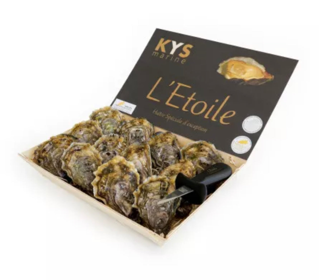 Oyster No. 3 Super Special l'Étoile (Brittany) x24