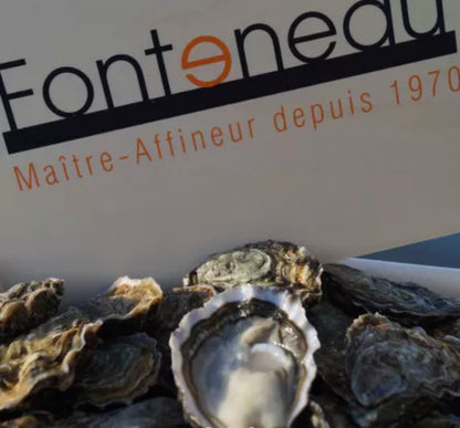 Oysters n°2 Special “La Réserve” (Marennes-Oléron) x24