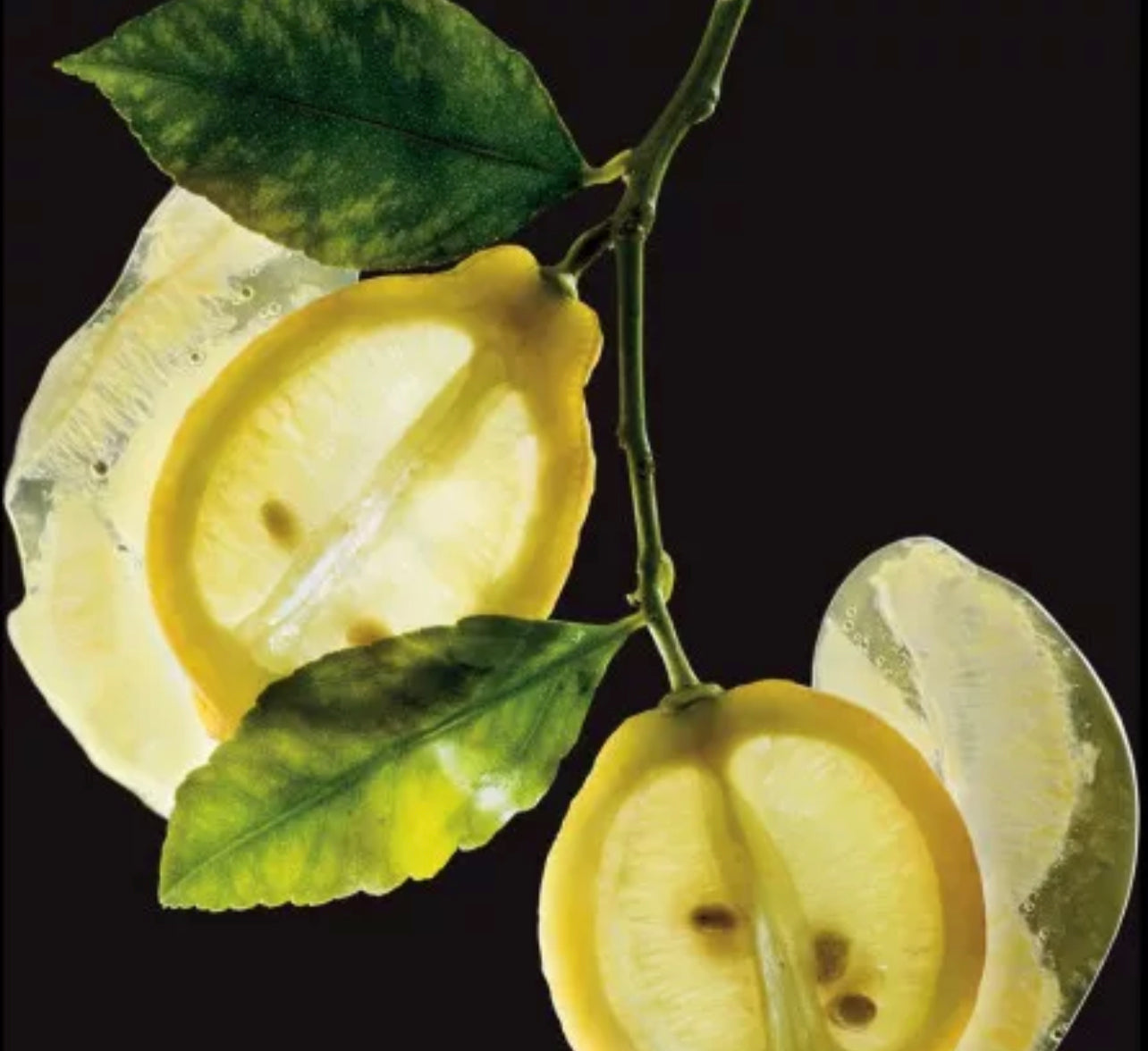 Purée réfrigérée de citron jaune - 1kg