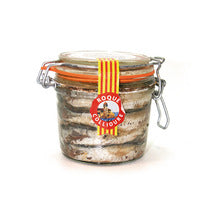 Collioure anchovies in salt verrine