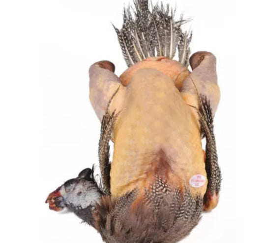 Bresse Guinea Fowl “Excellence” ±2kg