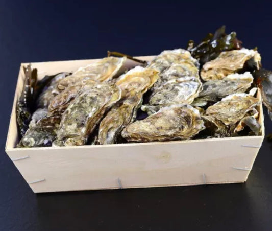 Oysters No. 3 Fines de claire (Brittany) x24