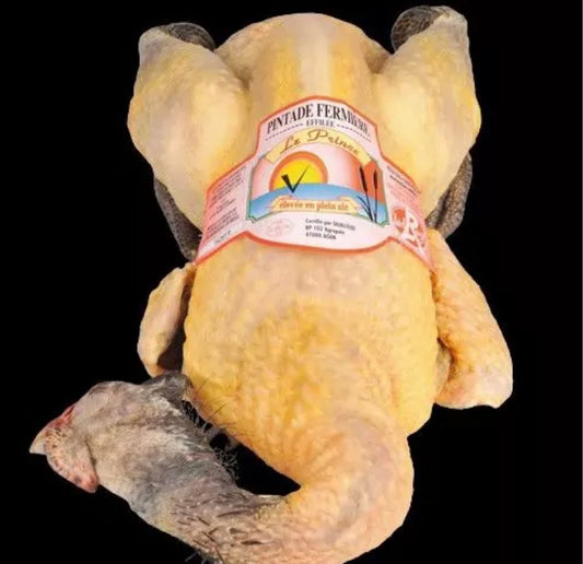 Farm guinea fowl from Dombes “Le Prince” Label Rouge ±2kg
