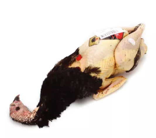 ✨Bresse AOP turkey ±4kg✨