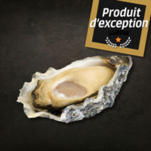 Oyster No. 3 Super Special l'Étoile (Brittany) x24