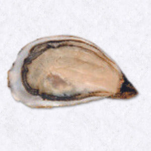 Fonteneau Oysters No. 3 Special "La Réserve" (Marennes-Oléron) x24