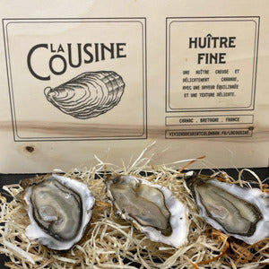 ✨Oysters n° 3 Fines de claire (Brittany) x24✨