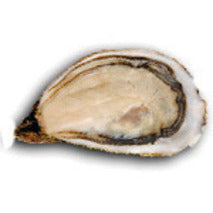 ✨Fonteneau Oysters Special La Réserve (Marennes-Oléron) No. 2 x48✨