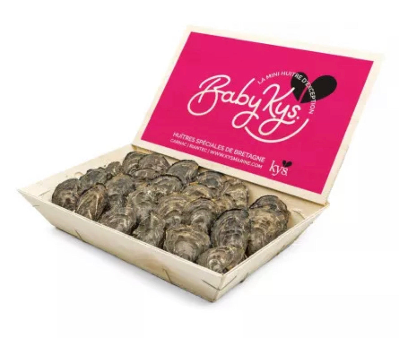 Huître Baby Kys L'Étoile (Bretagne) N°5x50