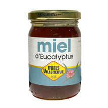 Eucalyptus honey from Spain 250g jar