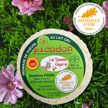 Picodon made from raw goat's milk AOP 15x60g