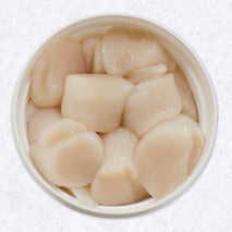 Préparation de noix de Saint-Jacques origine Canada seau ±1kg