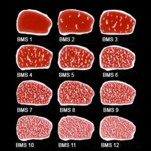 Wagyu beef entrecôte 8+ from Australia ±3kg