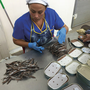 Filetes de anchoa del Cantábrico en aceite de oliva virgen extra x10/12 - 100g