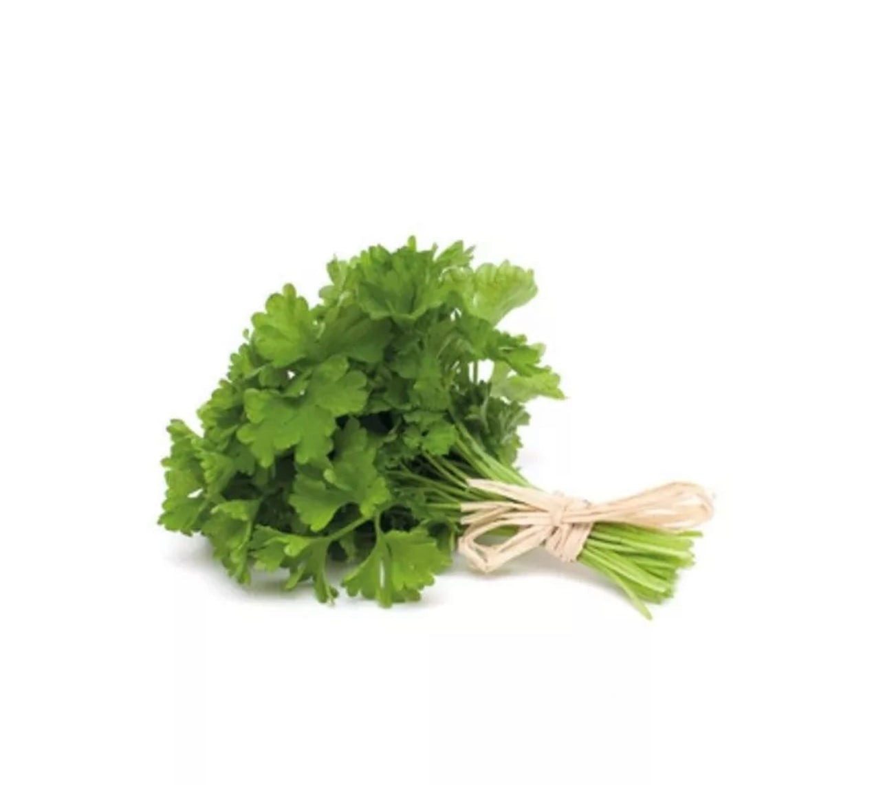 Flat-leaf parsley - 25g