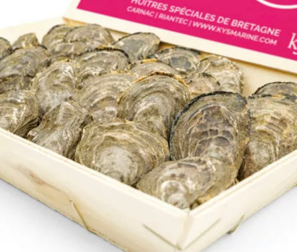 Oyster n°5 Super Speciale l’Étoile (Brittany) x24