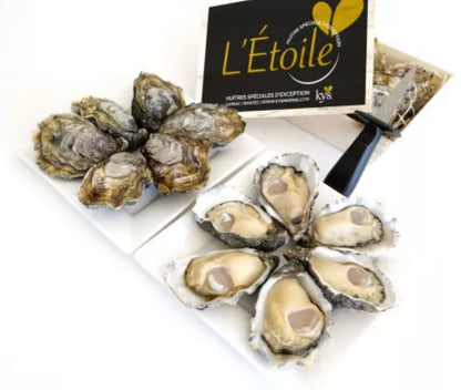 Oyster n°3 Super Speciale l’Étoile (Brittany) x48