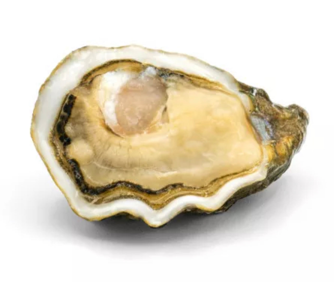 Oyster n°5 Super Speciale l’Étoile (Brittany) x24