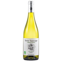 Pays d'Oc Sauvignon Terre Sauvage BIO blanco 2020 - 75cl