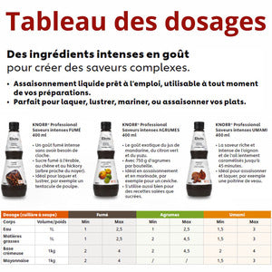 Assaisonnement liquide agrumes Saveurs Intenses KNORR PROFESSIONAL 400ml