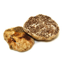 Truffe blanche d'Alba fraîche Tuber Magnatum Pico